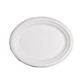 צלחת 10 מתכלה 500 יח'